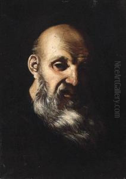 An Old Man, Head And Shoulders Oil Painting by Mattia Preti