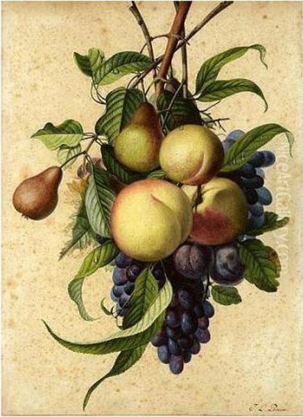 Still Life With Peaches, Pears, Plums And Grapes Oil Painting by Jean Louis, Le Jeune Prevost