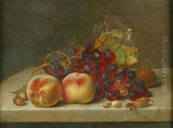 Still Life With Grapes, Peaches And Nuts On A Marble Plinth Oil Painting by Johann Wilhelm Preyer