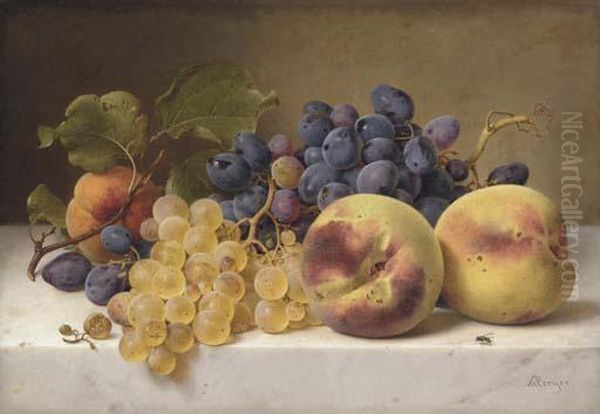 A Still Life With Peaches And Grapes On A Marble Ledge Oil Painting by Johann Wilhelm Preyer