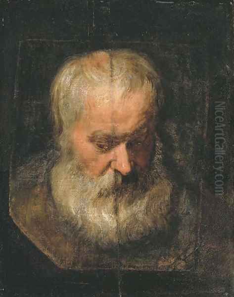 A head study of a bearded man Oil Painting by Sir Anthony Van Dyck