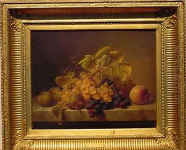 Still Life With Fruit Upon A Marble Ledge Oil Painting by Johann Wilhelm Preyer