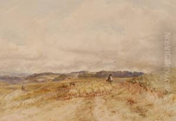 Shepherd And Sheep Nearbrighton Oil Painting by James Price