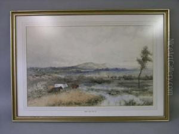 Cattle In Landscape Signed 17.5 X 27.5in Oil Painting by James Price