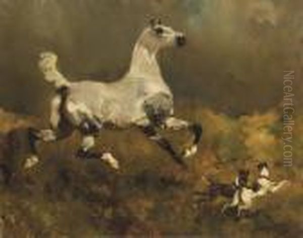 Cheval Blanc Oil Painting by Rene Pierre Princeteau