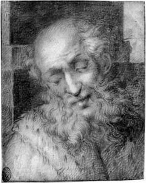 The Head Of A Bearded Old Man Oil Painting by Camillo Procaccini