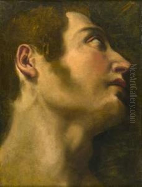 Tete D'homme En Contre-plongee De Profil Droit Oil Painting by Giulio Cesare Procaccini