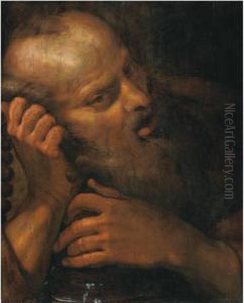 Study Of The Head Of An Old Man Oil Painting by Giulio Cesare Procaccini