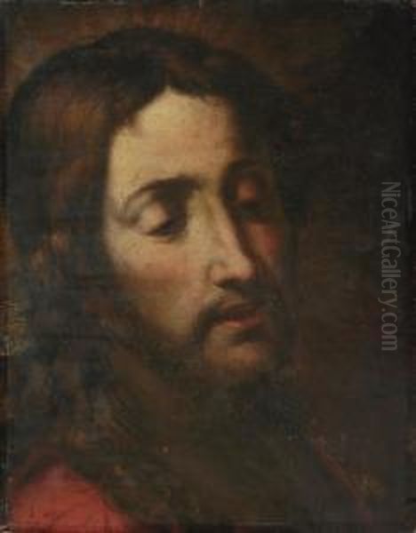 The Head Of Christ Oil Painting by Giulio Cesare Procaccini