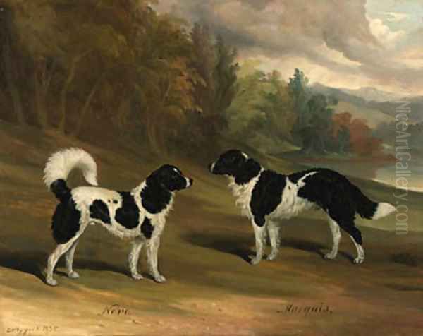 Nero and Marquis, two Landseer newfoundlands, in a wooded lake landscape Oil Painting by David of York Dalby