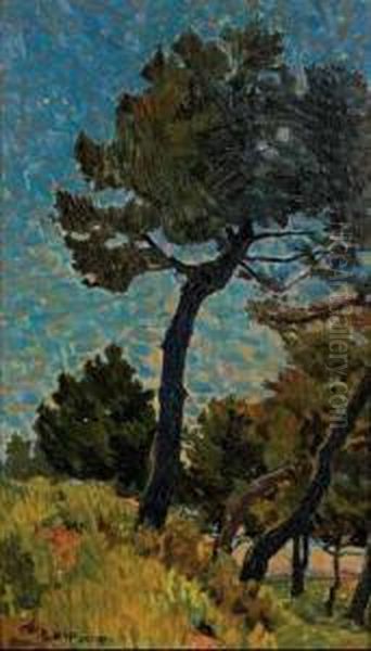 Pineta A Campolecciano Pini Marittimi Oil Painting by Mario Puccini