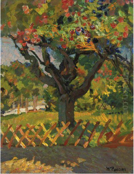 Albero In Fiore Oil Painting by Mario Puccini