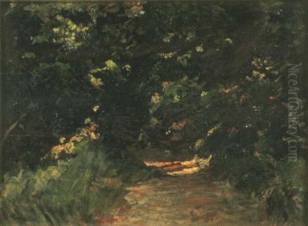 Ultimo Raggio Di Sole Nel Bosco (1913 Circa) Oil Painting by Mario Puccini