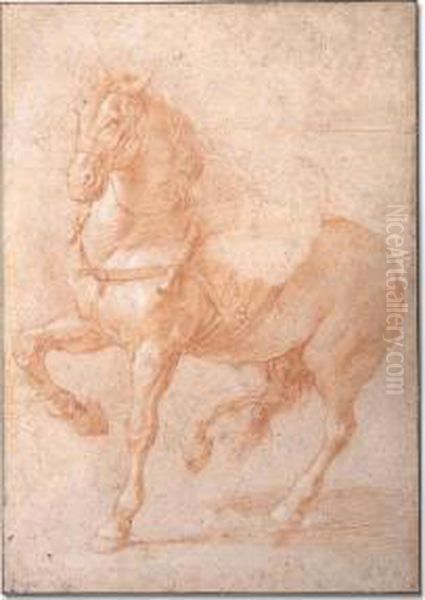 Study Of Bucephalus For The Relief Of Alexander And Diogenes Oil Painting by Pierre Puget