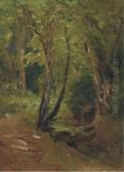 Woodland Path Oil Painting by Sarah Henrietta Purser