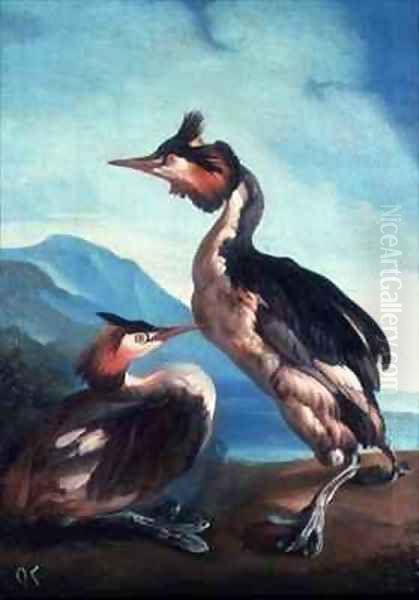 A Pair Great Crested Grebes by a Riverbank Oil Painting by Faustino Durante