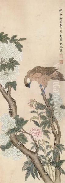 Bird And Flowers Oil Painting by Shen Quan