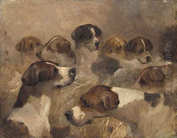 Study of a Group of Foxhounds Oil Painting by Richard Barrett Davis