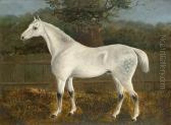 A Dappled Grey Hunter; And A Bay Hunter Oil Painting by J. Quinton