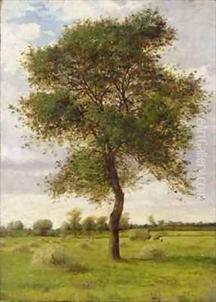 Study of an Ash Tree in Summer Oil Painting by James Hey Davies