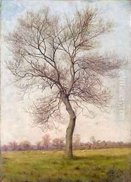 Study of an Ash Tree in Winter Oil Painting by James Hey Davies