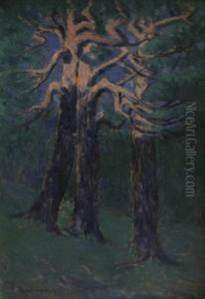 Pine Oil Painting by Vaclav Radimsky