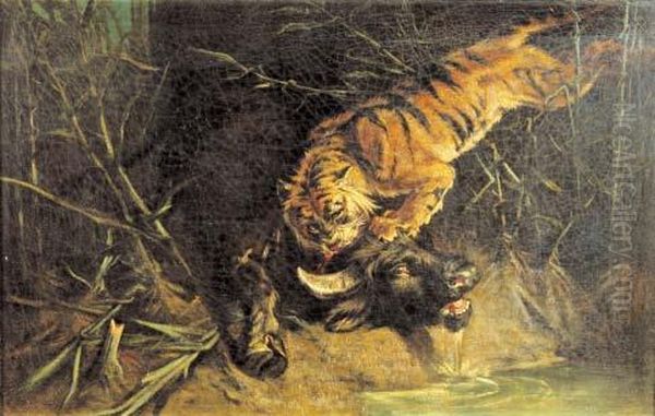 Bufalo Assalito Da Una Tigre Oil Painting by Giuseppe Raggio