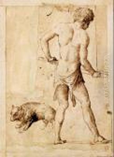 Figura Maschile Con Orso Oil Painting by Marcantonio Raimondi