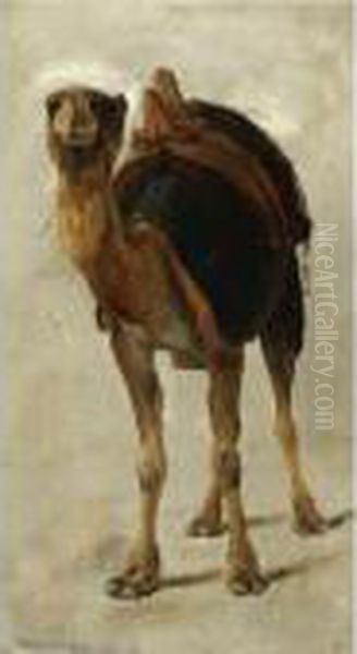 Camel Oil Painting by Theodore Jacques Ralli