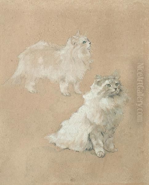 Study Of Two Cats Oil Painting by Henri Ramah