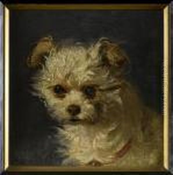 Study Of A Terrier's Head Oil Painting by Johann Matthias Ranftl