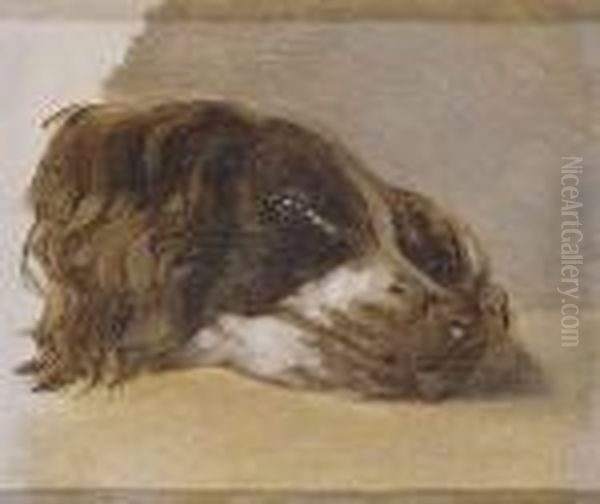 Cabeza De Perro Oil Painting by Johann Matthias Ranftl