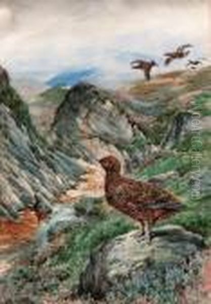 Grouse On The Scottish Moors Oil Painting by Andrew Scott Rankin