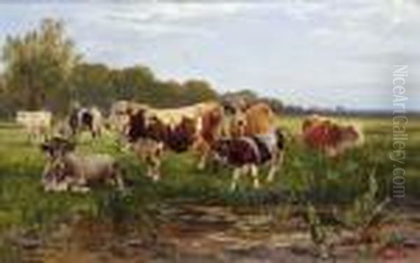 Kuhe Auf Sonniger Weide Oil Painting by Gustav Ranzoni