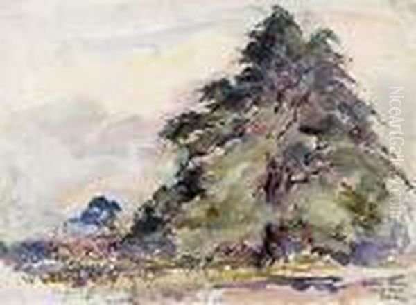 Hortus Leiden, Glinko Tree Oil Painting by Joseph Morris Raphael