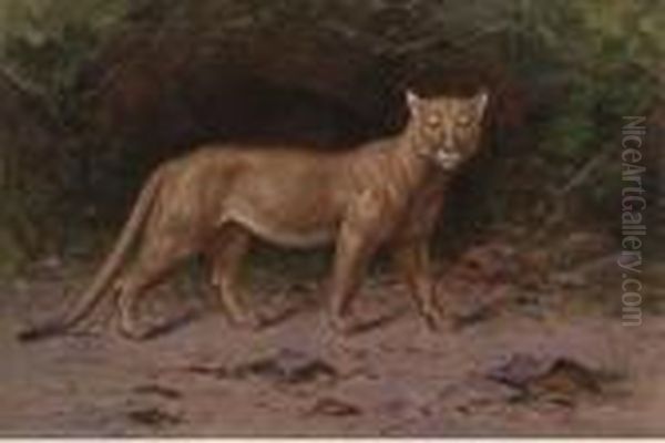 A Puma In A Woodland Glade Oil Painting by Henry Raschen