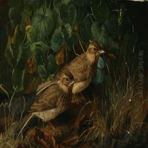 Two Larks In Aforest Floor Oil Painting by Niels Peter Rasmussen