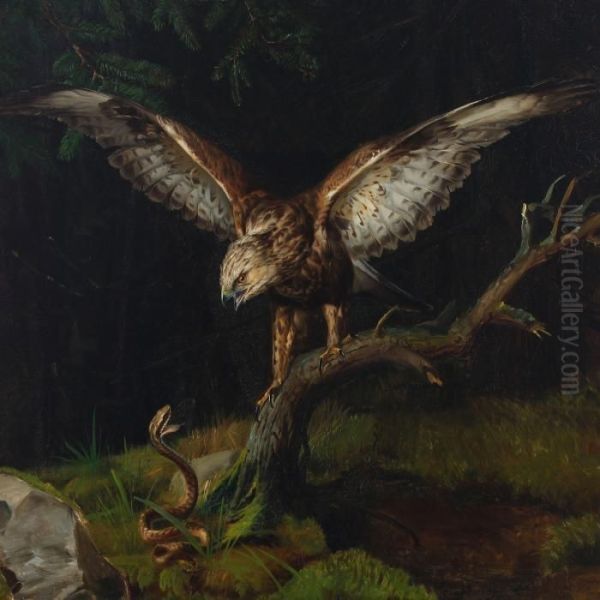 A Common Buzzard And A Viper Oil Painting by Niels Peter Rasmussen