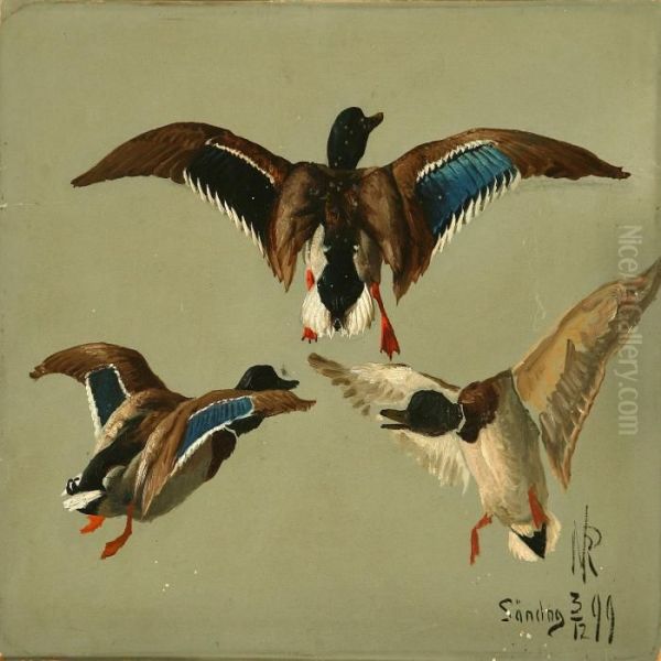 Ducks Oil Painting by Niels Peter Rasmussen