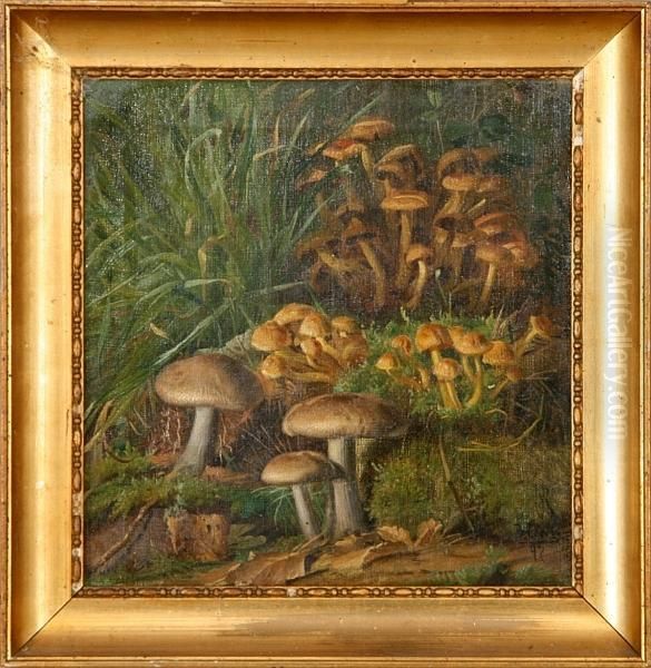 Mushrooms In A Forest Floor Oil Painting by Niels Peter Rasmussen