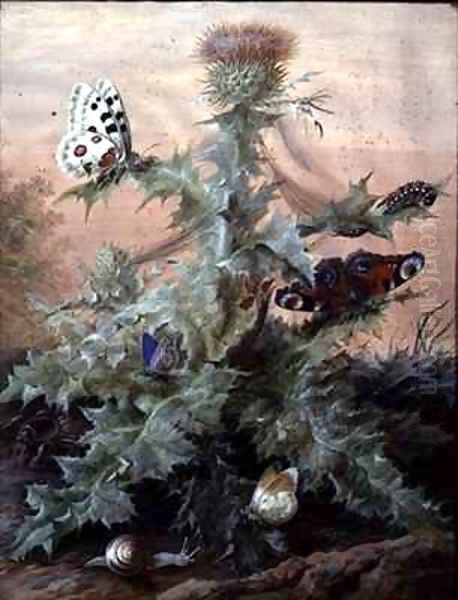 Insects Around a Thistle Oil Painting by Margaretha Barbara Dietzsch