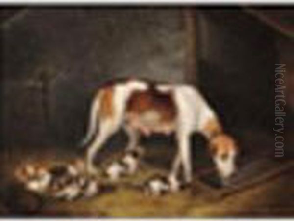 A Hound With Her Litter In A Stable Oil On Panel 7 X 9in Oil Painting by Samuel Raven