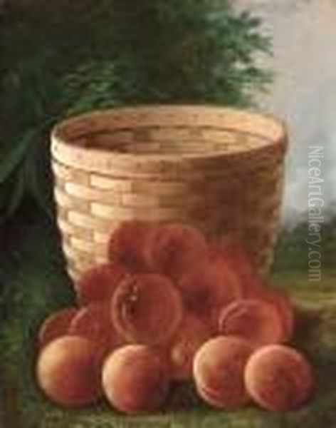 Peaches By A Basket Oil Painting by Carducius Plantagenet Ream