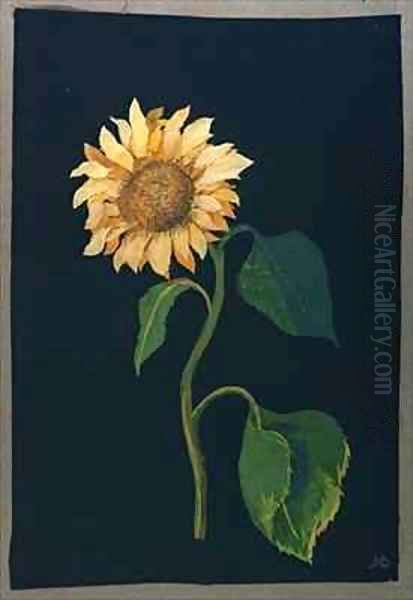 Sunflower Oil Painting by Mary Granville Delany