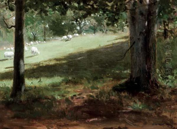 Sheep In Forest Glade Oil Painting by George Agnew Reid