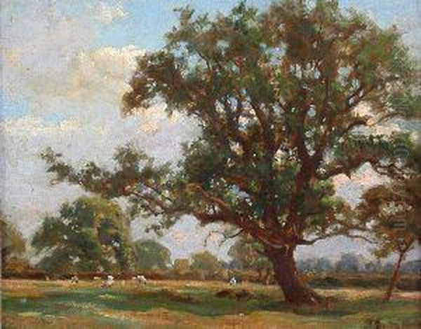 Oak-tree In Summer Oil Painting by Robert Payton Reid