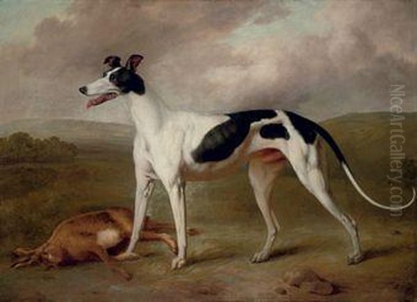 A Prize Greyhound In An Extensive Landscape Oil Painting by Philip Reinagle