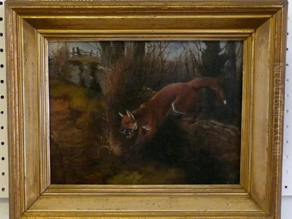 A Fox Leaping From A Wall Oil Painting by Philip Reinagle