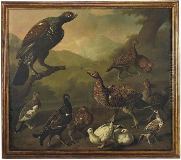 A Large Male Black Grouse, 
Lyrurus Tetrix, Perched On A Branch Andsurrounded By A Variety Of Other 
Grouse Including Male And Femalevarieties Of Red Grouse, Lagopus 
Lagopus, And Ptarmigans Displayingboth Summer And Winter Plumage Oil Painting by Philip Reinagle