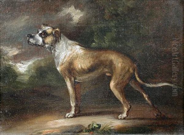 Study Of The Goubourne Mastiff Oil Painting by Philip Reinagle